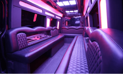 Round Rock 14 Passenger Sprinter Bus Interior